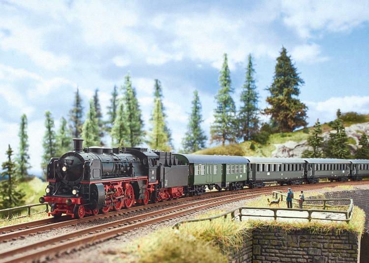 Steam Locomotive, Road Number 18 495